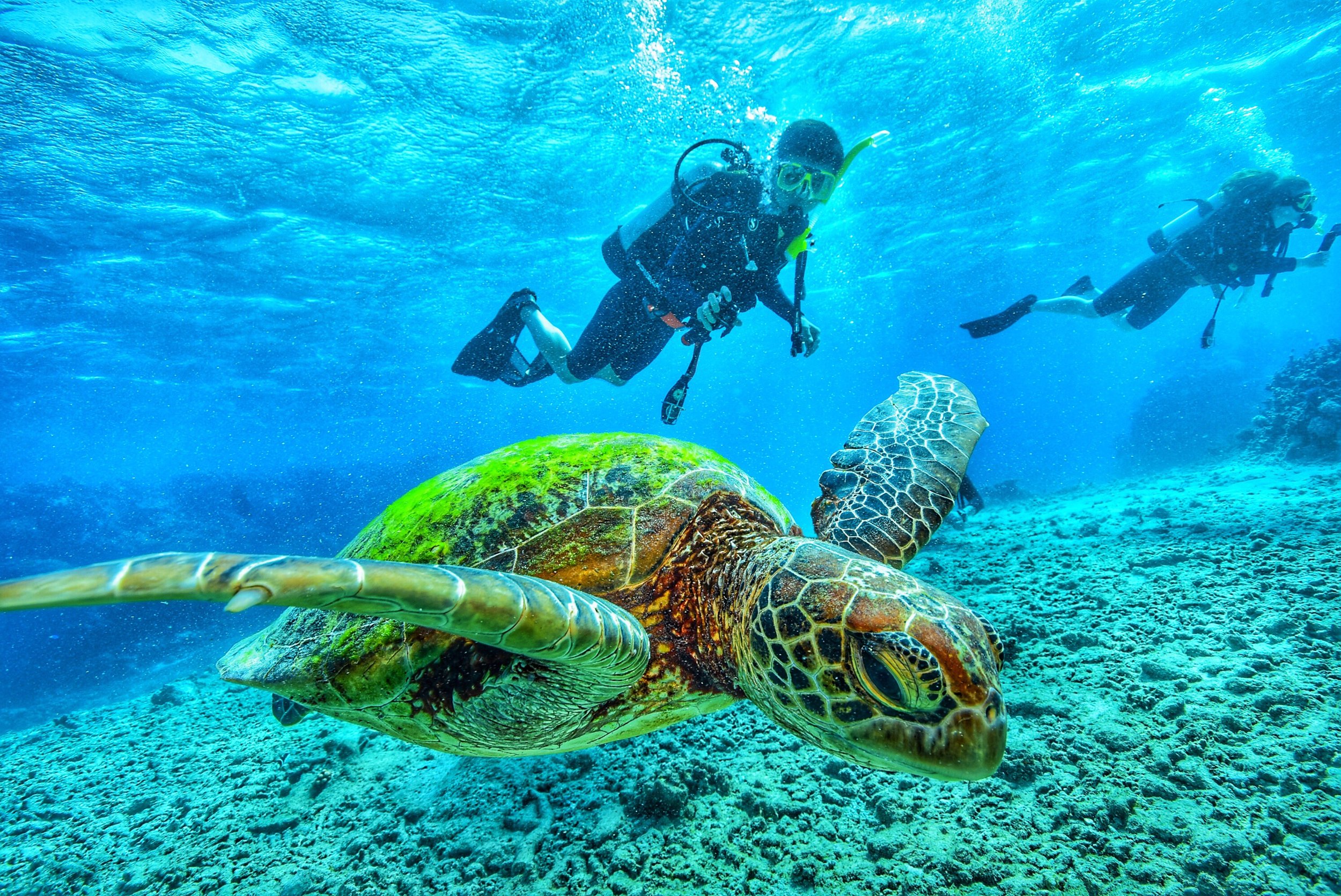 Galapagos cruising permit cost Galapagos cruising permit cost